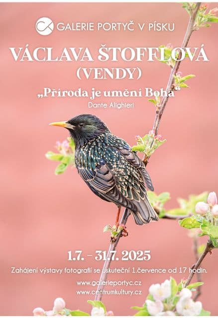Václava Štofflová (Vendy) - Příroda je umění Boha (Dante Alighieri)