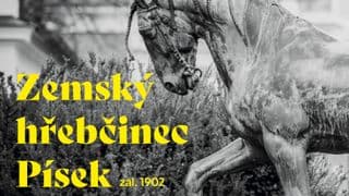 Zemský hřebčinec Písek - komentovaná prohlídka